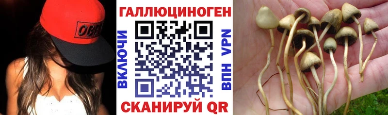 Псилоцибиновые грибы MAGIC MUSHROOMS  где найти наркотики  Железногорск 